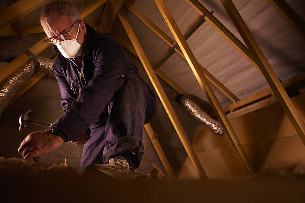 Best Insulation for Specific Applications in North Valley, NM