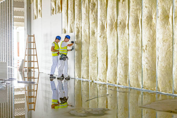 Best Types of Insulation in North Valley, NM
